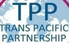 中国牵头的RCEP协定12月谈判成焦点 建立16国统一市场自由贸易