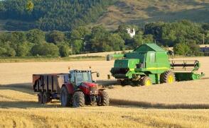日媒：小麦价格涨至七年来高位
